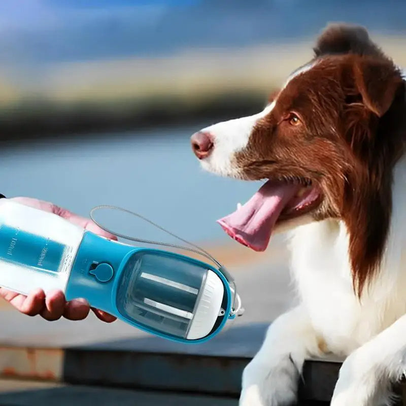 Ultimate 3-in-1 Pet Travel Cup – Hydrate, Feed & Clean Anywhere!